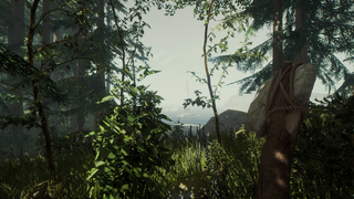 Forest, The